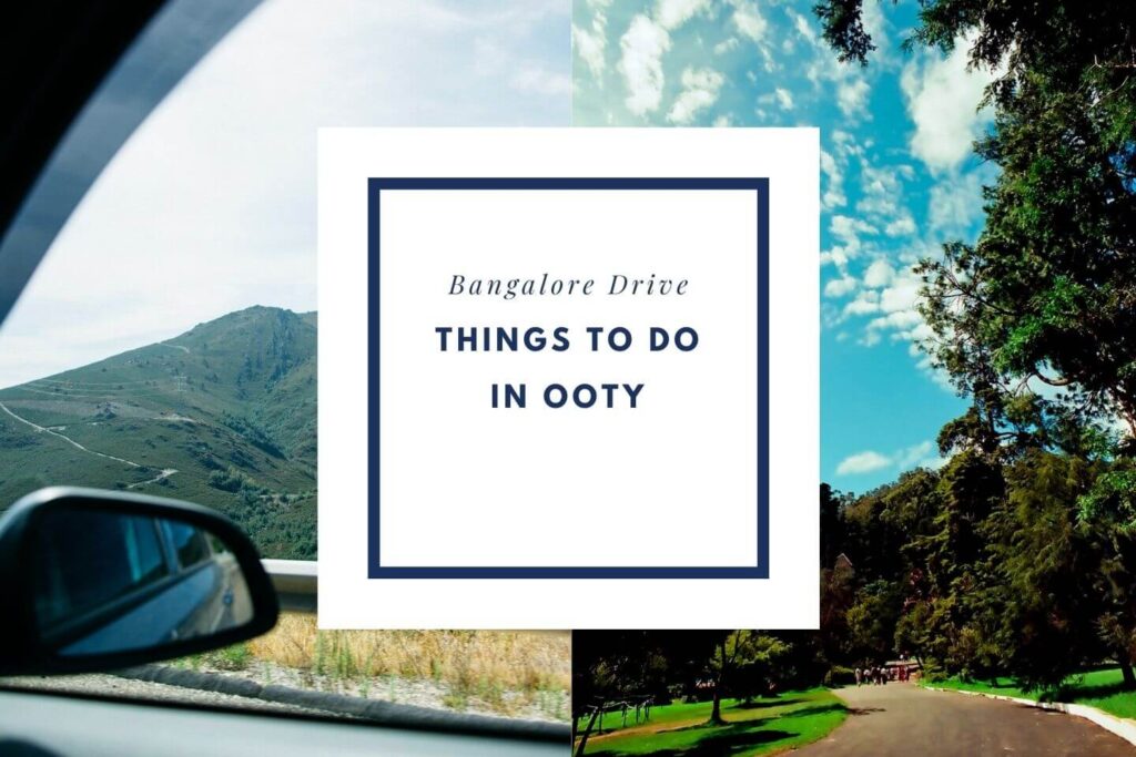 Things to do in Ooty on your road trip with a Private Taxi from Bangalore Drive