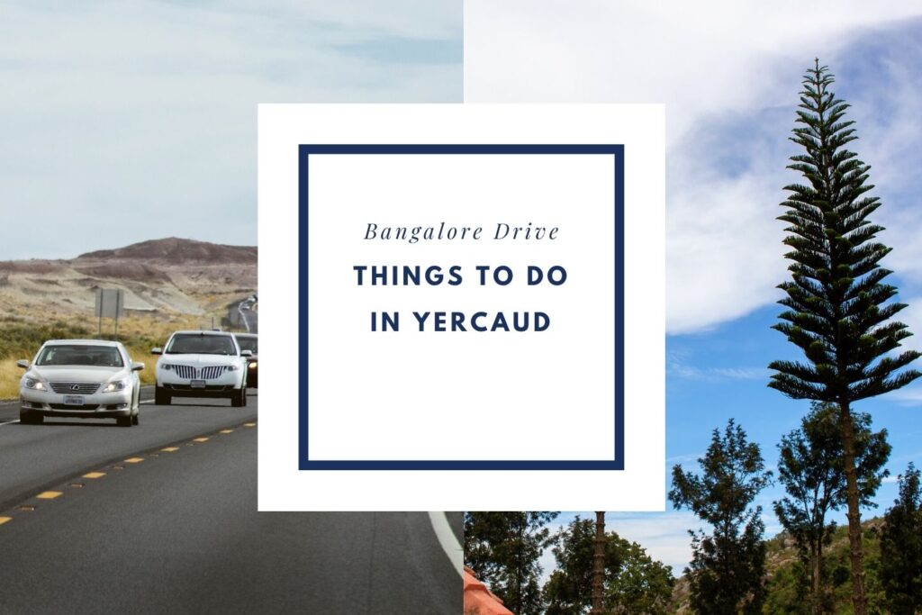 Things to do in Yercaud on your road trip with a Private Taxi from Bangalore Drive (courtesy: shastrix)