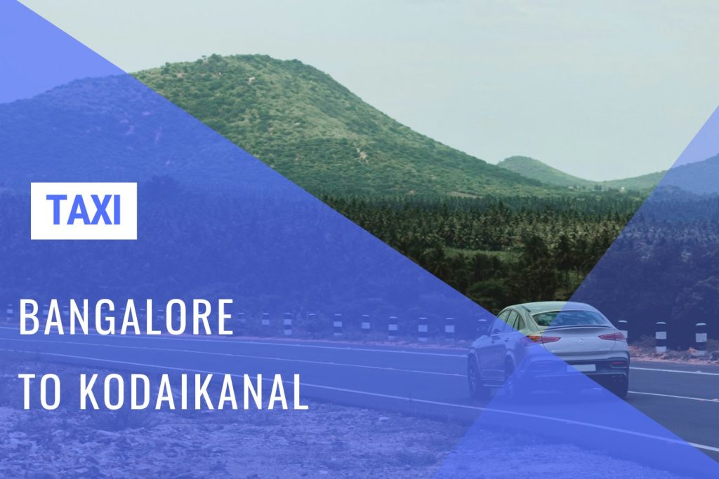 Kodaikanal Taxi Service from Bangalore w/ Cost - Huge Savings with 'Bangalore Drive'