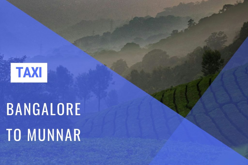 Munnar Taxi Service from Bangalore w/ Cost - Huge Savings with 'Bangalore Drive'