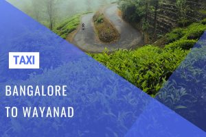 Wayanad Taxi Service from Bangalore w/ Cost - Huge Savings with 'Bangalore Drive'